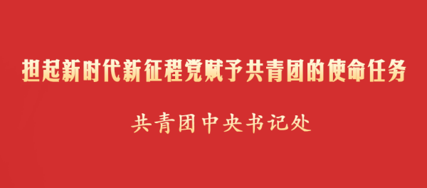 担起新时代新征程党赋予共青团的使命任务