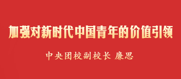 加强对新时代中国青年的价值引领