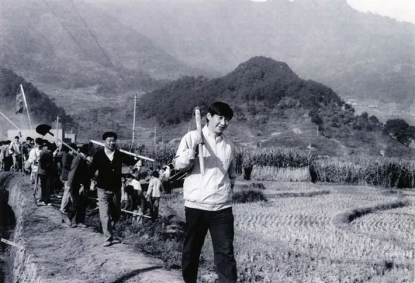 图片 8.png